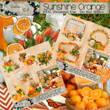 Sunshine Orange Bundle