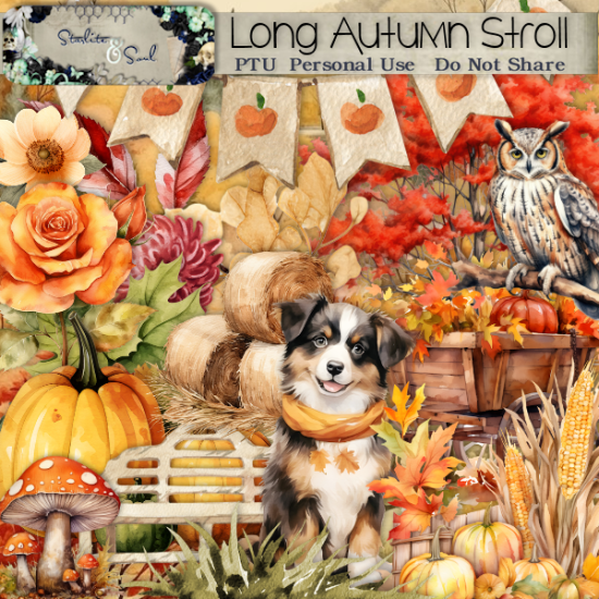 Long Autumn Stroll - Click Image to Close