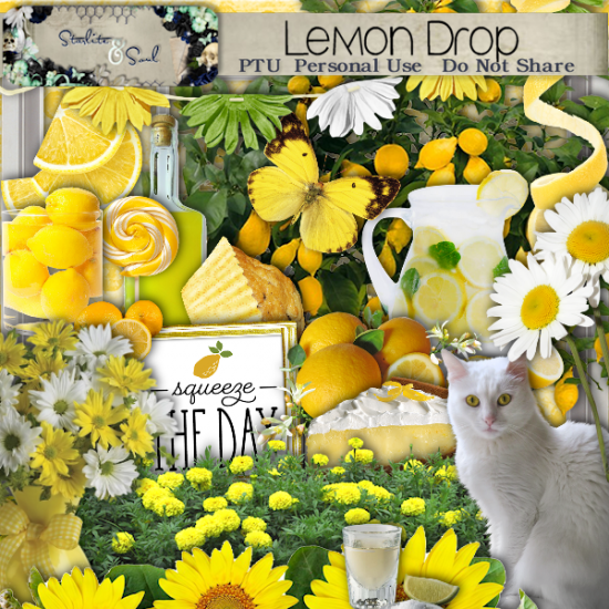 Lemon Drop - Click Image to Close